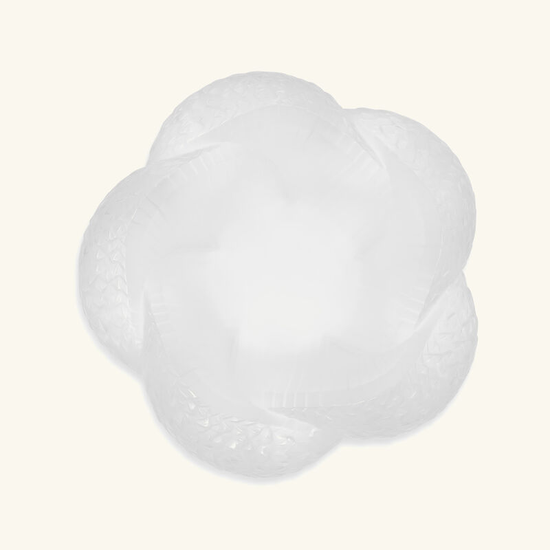 وعاء سيربان شفاف لاليك وعاء سيربان شفاف