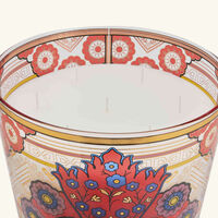 باوباب شمعة مكسيكو ماكسي ماكس