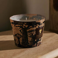 Sacred Trees Mankono Candle Max 10 baobab collection sacred trees mankono candle max 10