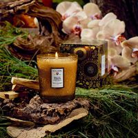 voluspa baltic amber candle