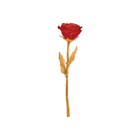Eternal Rose, small