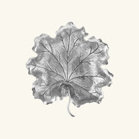 Geranium Leaf Bowl Medium Silver buccellati geranium leaf bowl medium silver