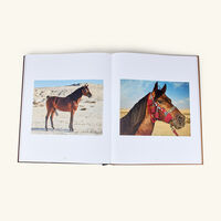 The Royal Stables of Bahrain: The Legacy of Arabian Horses Book 10x16cm assouline the royal stables of bahrain the legacy of arabian horses book 10x16cm