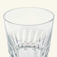 baccarat piccadilly drinking glass clear set of 2