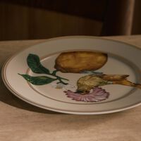 روزنتال طبق آيديليا المستدير للخبز والزبدة   18 سم   مزيّن بنقش على شكل طائر جميل