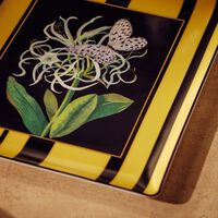 طبق الضيافة ناتورا جونكيل دو مير مستطيل أسود 22 سم برناردو طبق الضيافة ناتورا جونكيل دو مير مستطيل أسود 22 سم