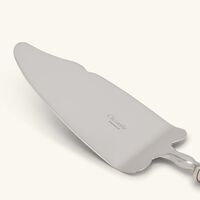 كريستوفل سكين تقطيع الكيك آلبي باللون الفضي