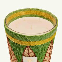 baobab collection vezo toliary candle max 10