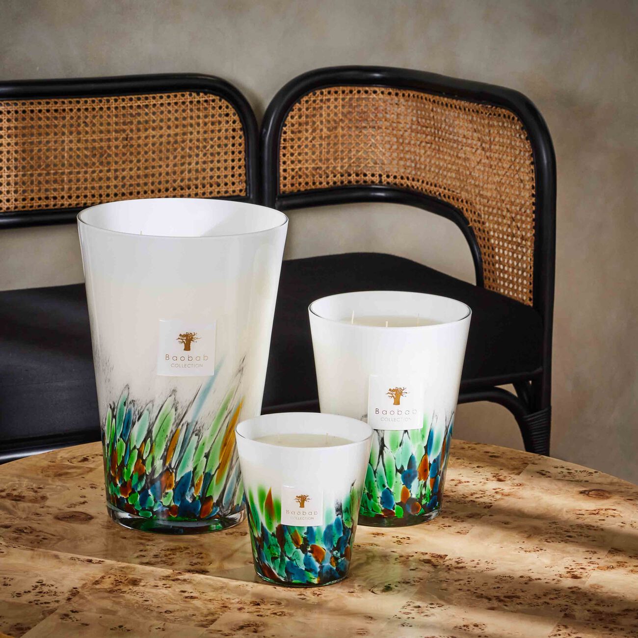 باوباب شمعة رينفورست أمازونيا ماكس 16