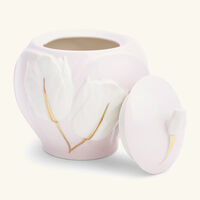 فيلاري وعاء السكر توليب وردي