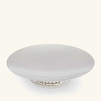 كريستوفل قطعة ديكور بابيلون باللون الفضي