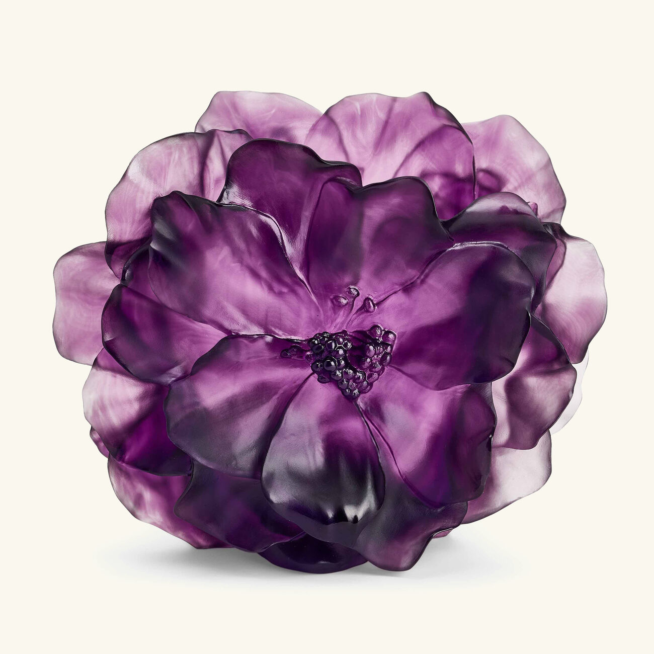 دوم مزهرية كاميليا متوسطة وردية