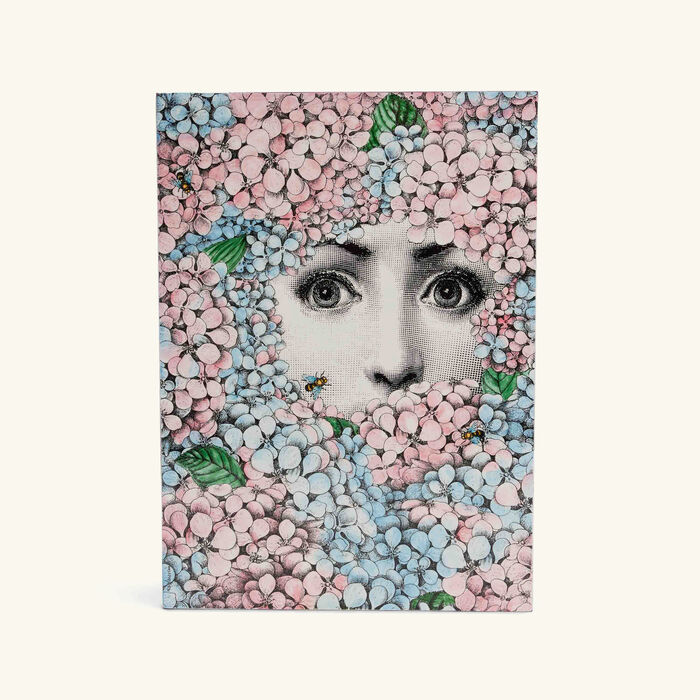 فورناسيتي صندوق أورتينزيا