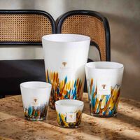 شمعة رينفورست مايومبي ماكس 16 باوباب شمعة رينفورست مايومبي ماكس 16