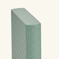 جيوبانيارا مسند الكتب إيلي صعب مونوغرام أجاتا باللون الأخضر