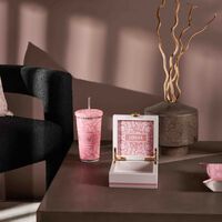 فيرساتشي صندوق المجوهرات باروكو صغير وردي