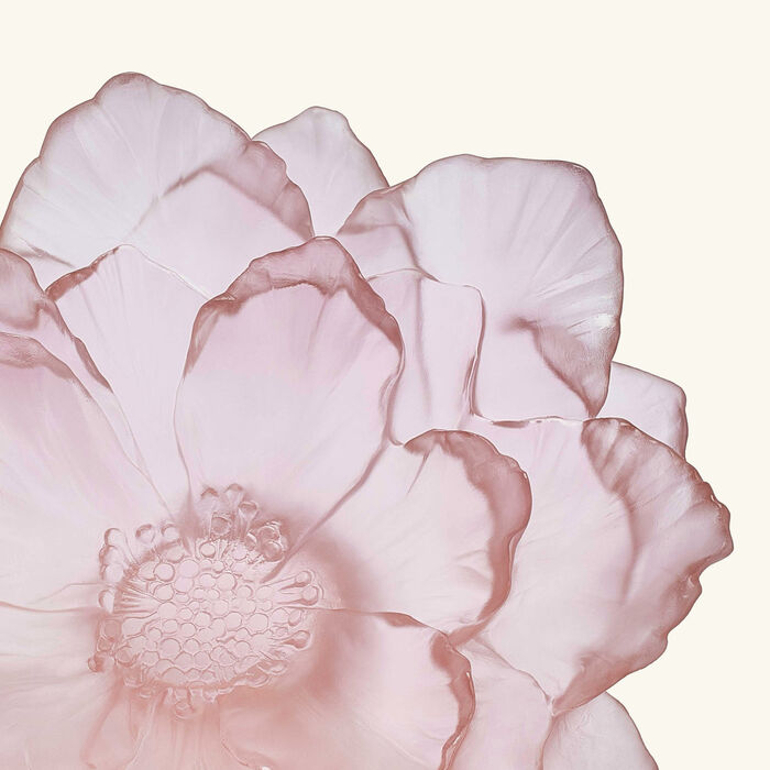 daum camellia centerpiece medium pink