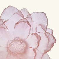 Camellia Centerpiece Medium Pink daum camellia centerpiece medium pink