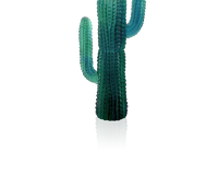 Jardin De Cactus Vase Emilio Robba, small