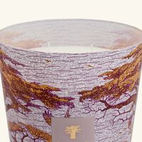 شمعة سيكرد تريز ماساسو ماكس 35 باوباب شمعة سيكرد تريز ماساسو ماكس 35