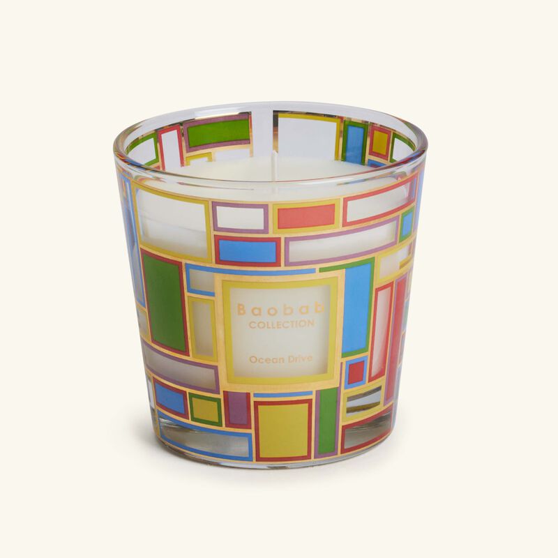 baobab collection my first baobab   ocean drive giftbox