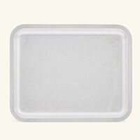 كريستوفل صينية التقديم جاردان ديدن مستطيلة صغيرة مطلية بالفضة