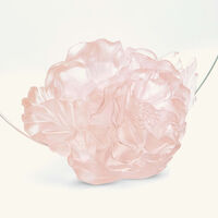 daum camellia mirror