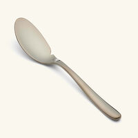 كريستوفل سكين السمك لام دو فيش أسود