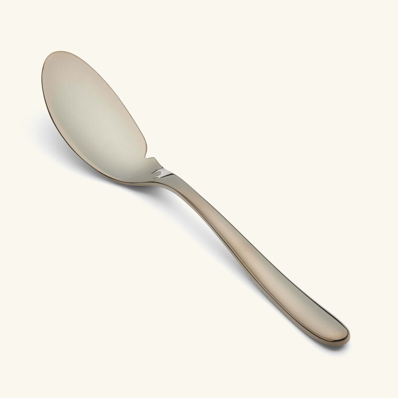 كريستوفل سكين السمك لام دو فيش أسود