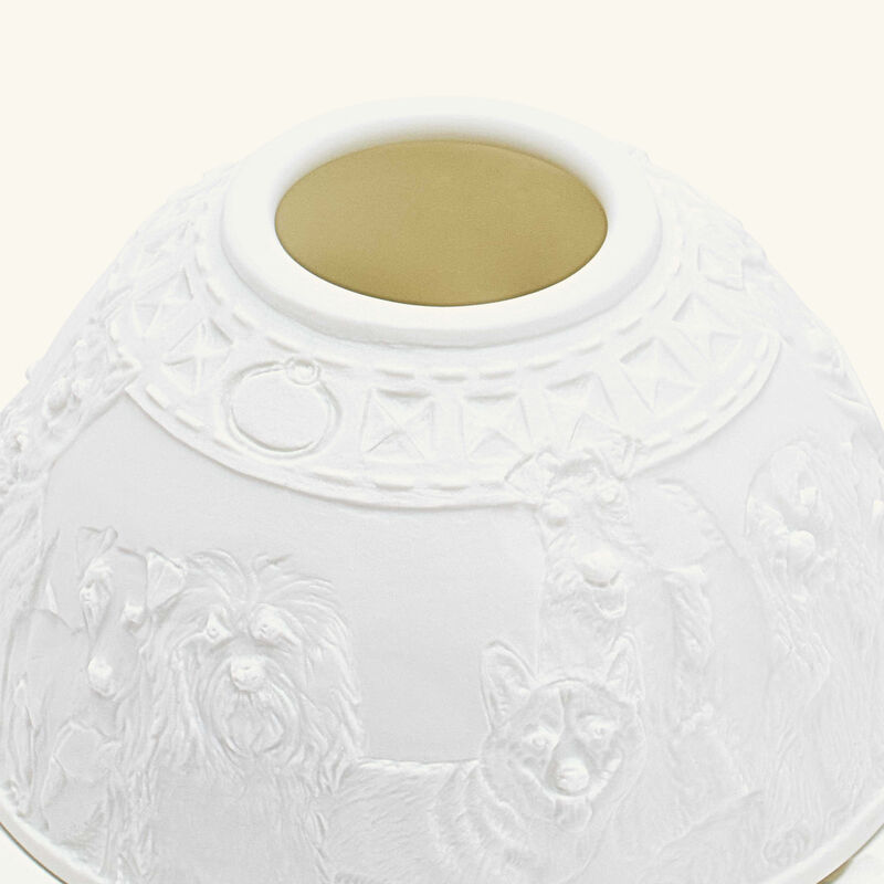 برناردو مصباح ليثوفاني دوجز