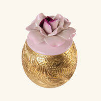 villari acapulco ibiscus candle gold