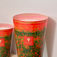 baobab collection poppies candles max 35