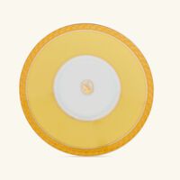 روزنتال فنجان القهوة سيغنوم جونكيل مع صحنه أصفر