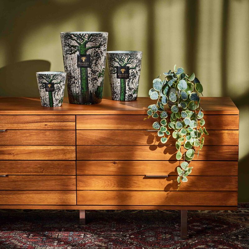 Sacred Trees Kani Candle Maxi Max baobab collection sacred trees kani candle maxi max