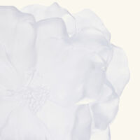 دوم مزهرية كاميليا متوسطة الحجم بيضاء