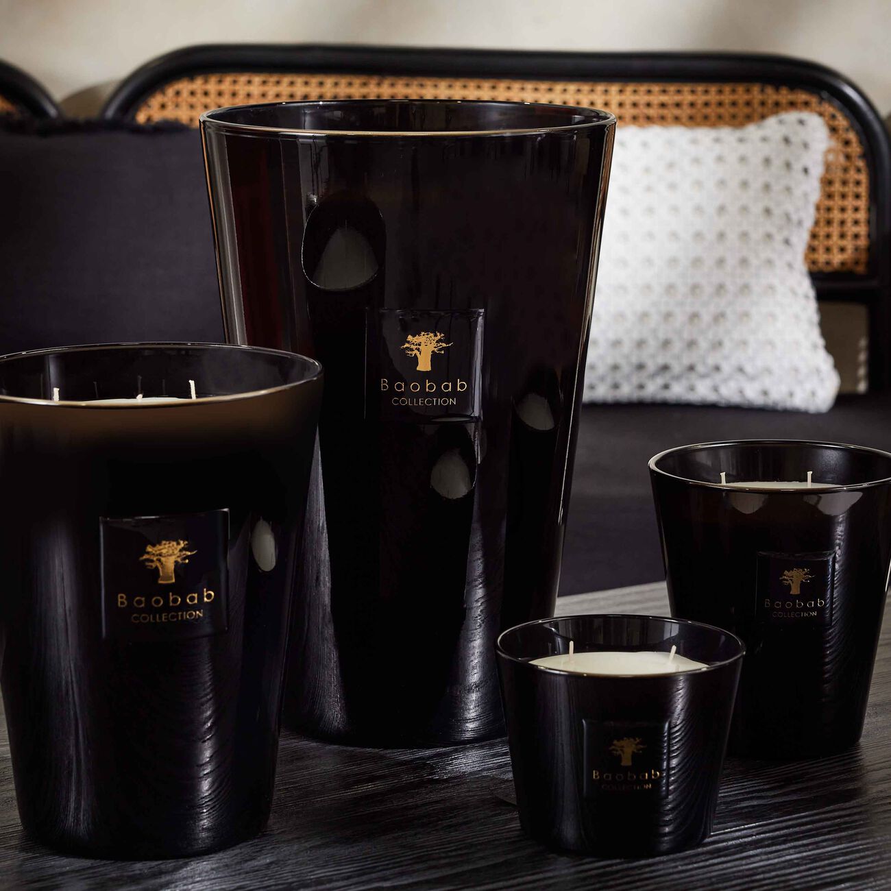 baobab collection encre de chine candle maxi max