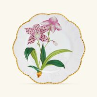 بينتو باريس طبق الطعام إيستوار دوركيديه دائري 26 سم