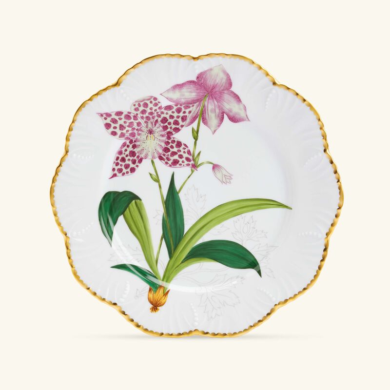 بينتو باريس طبق الطعام إيستوار دوركيديه دائري 26 سم