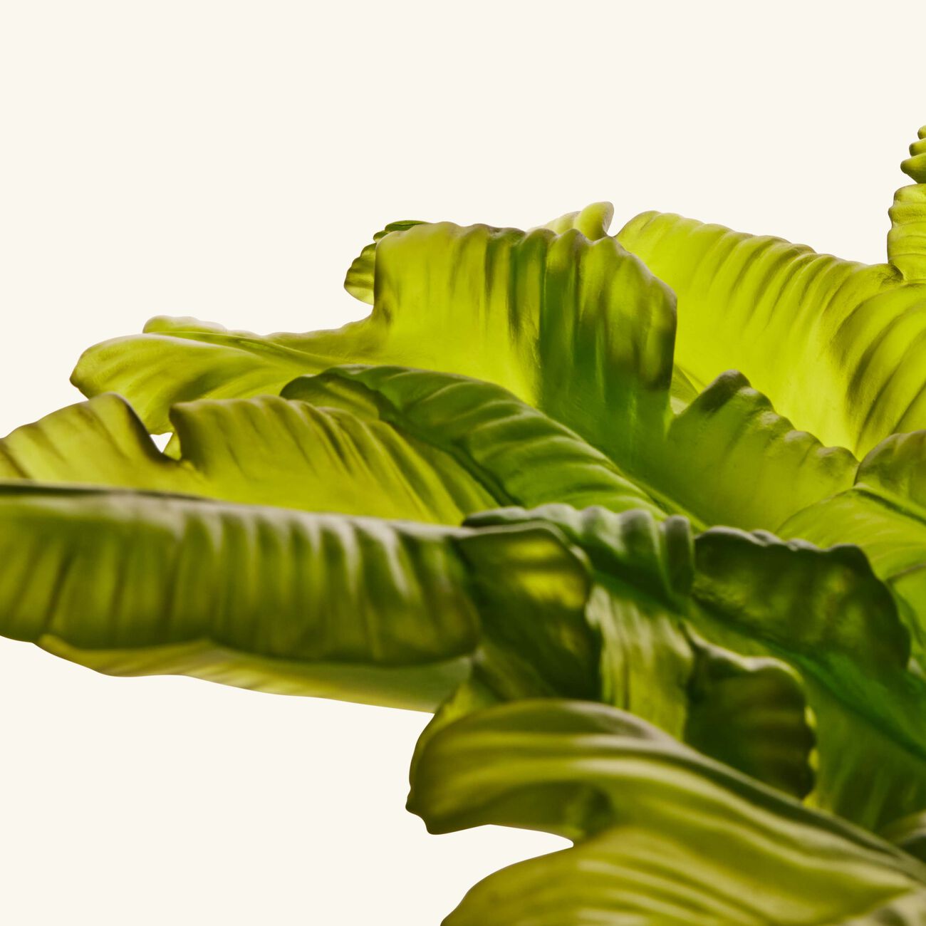 دوم قطعة الديكور المركزية توتي فروتي