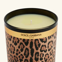 dolce gabbana casa leopard patchouli candle