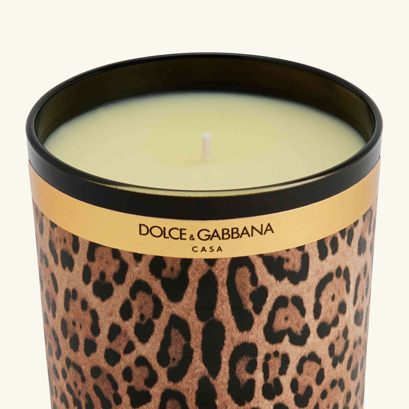 dolce gabbana casa leopard patchouli candle