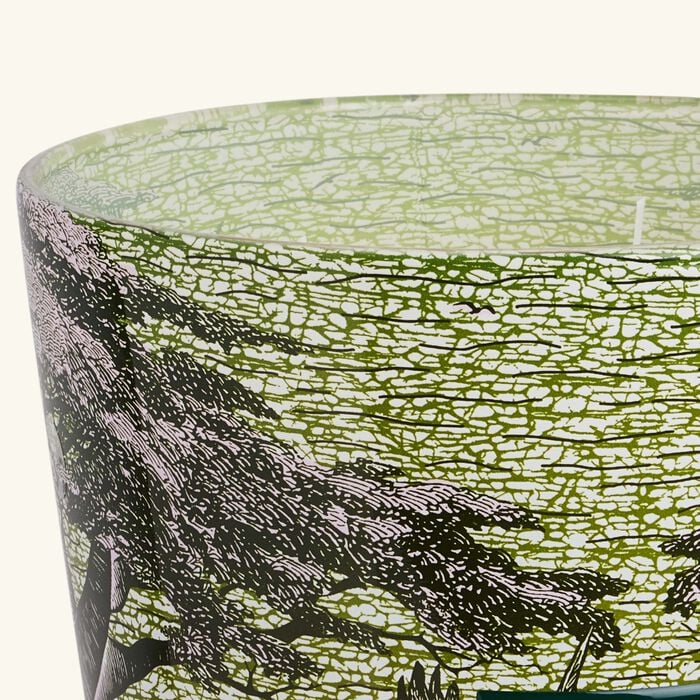 Sacred Trees Touba Candle Max 35 baobab collection sacred trees touba candle max 35