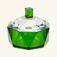 ريفليكشنز كوبنهاغن وعاء ديكور نيو هيفن بغطاء أخضر