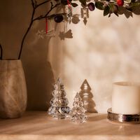 باكارا قطعة الزينة نويل لوكسر بحجم صغير باللون الشفاف