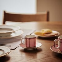 rosenthal signum rose coffee cup   saucer pink