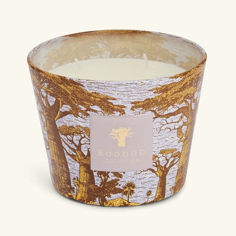 Sacred Trees Boukani Candle Max 10 baobab collection sacred trees boukani candle max 10