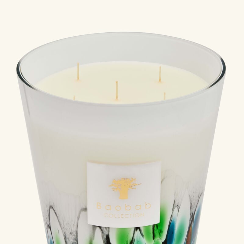 Rainforest Amazonia Candle Max 24 baobab collection rainforest amazonia candle max 24