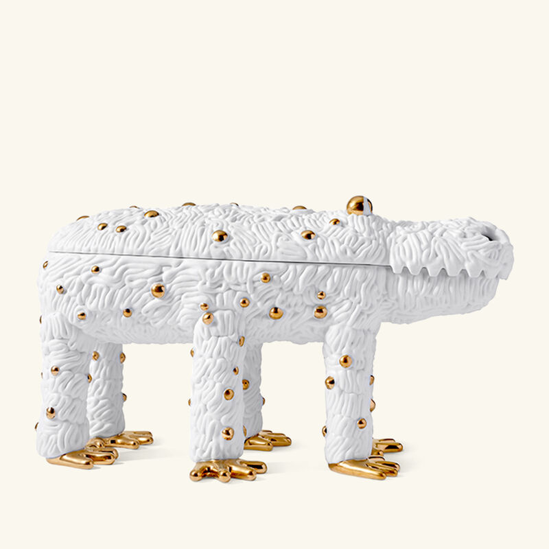 l objet haas pedro the croc box limited edition