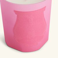 trudon summer haze candle 270g