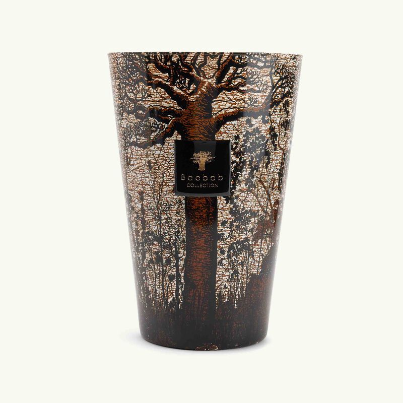 baobab collection sacred trees morondo candle maxi max